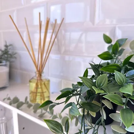 Superbe Renove Avec Cinema - Cap D'agde Apartamento *